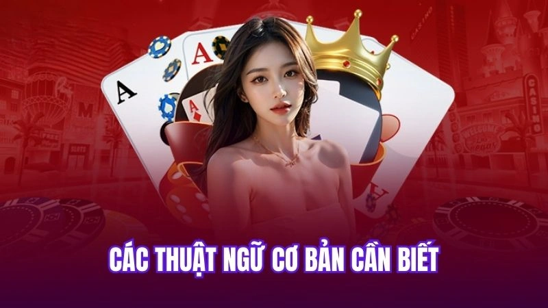 Các thuật ngữ cơ bản cần biết