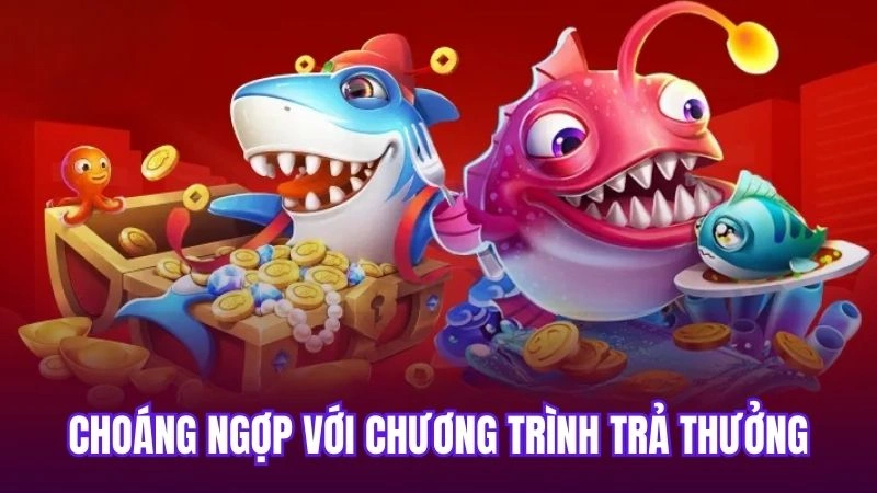 Choáng ngợp với chương trình trả thưởng