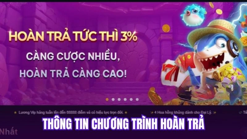 Thông tin chương trình hoàn trả