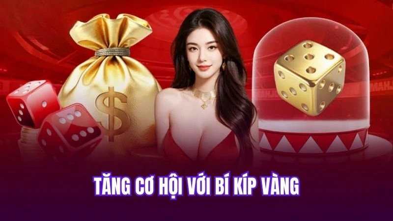 Tăng cơ hội với bí kíp vàng